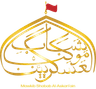 MSAA Logo